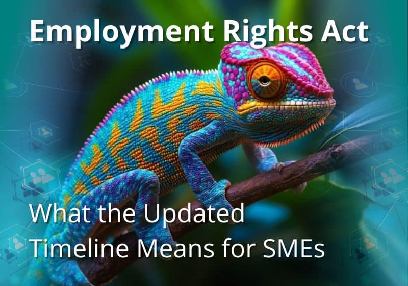 Employment Rights Act 2025: What the Updated Timeline Means | HR:4UK